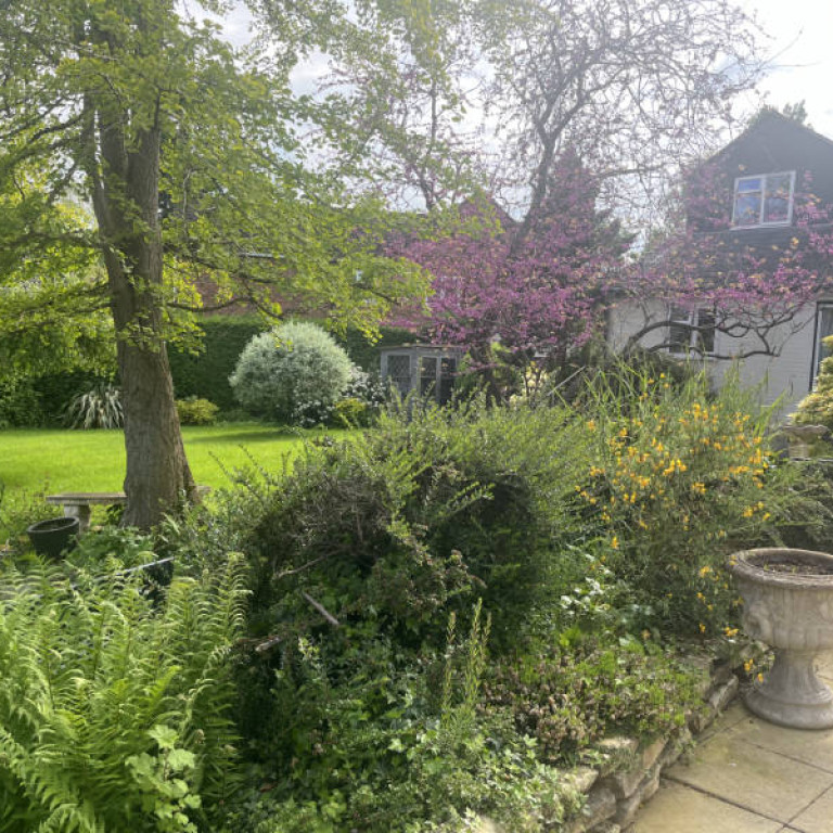 3 garden The Ferns Residential Care home Contact The Ferns Residential Home 152 Longden Road Shrewsbury